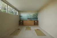 Parocks Luxury Hotel & Spa - Gym