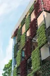 Hotel Dumaguete - Barer