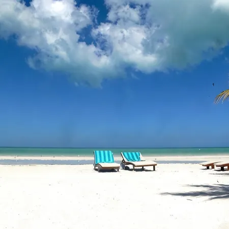 El Corazón Boutique Hotel - Adults Only with Pool & Beach Club Access