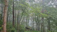 Get back to nature! Unique cabin in the mountains 15 minutes from Asheville N.C. - 木屋