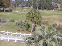 Top Floor with Balcony, with a Pool View, 4 Minutes to Beach Hotels in Sunset Beach