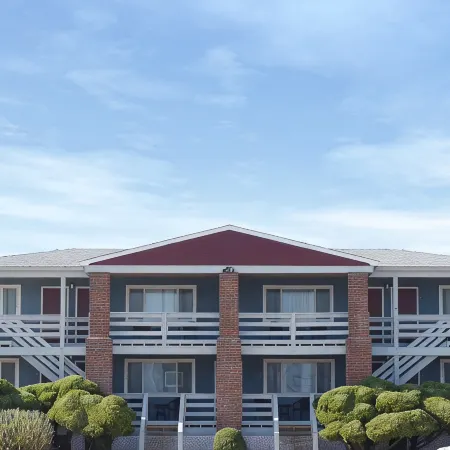 Born Free Suites by the Sea