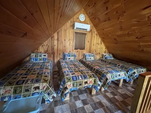 Peaceful secluded cabin nestled on 40 wooded acres overlooking  4 acre pond. - Homestays
