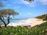 Kaha Lani #216, 2Bdrm, 2Bath, Kitchen, Beachfront Resort!  Ocean Views. Quiet! - Beach