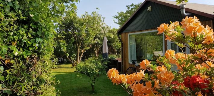 Summerhouse near the dunes and beach Hotels in Noordwijk