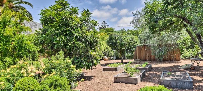 Sonoma Sunshine, by Vinifera Homes Hotels in Sonoma
