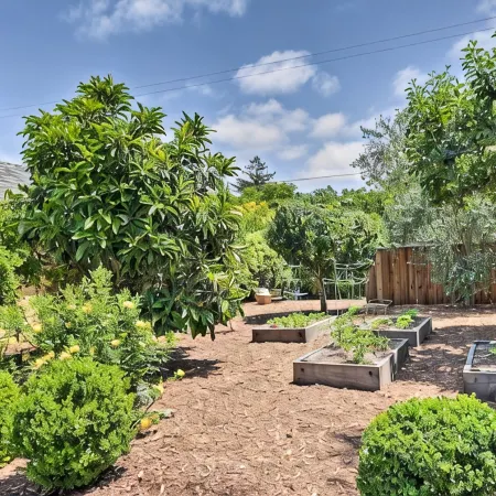 Sonoma Sunshine, by Vinifera Homes