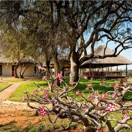 Nyati Safari Lodge