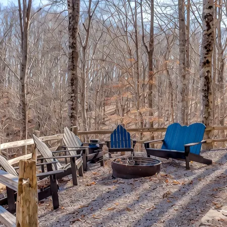 2 Cabins + Treehouse 50 Acres, FirePit, Sauna, Cold Plunge, Hot Tub, Petting Zoo