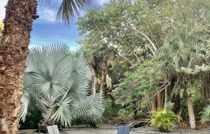 Island Paradise: Steps to Private Gulf Beaches, Pools, Hot Tub & Golf Cart ALL