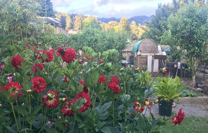 Sunnybrae Garden Studio