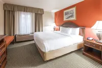 The Elms Hotel - Wifi
