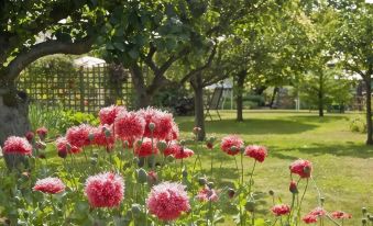 White Cottage Bed and Breakfast