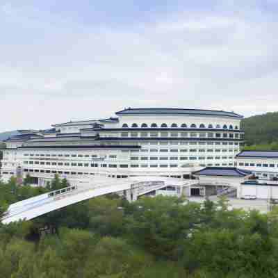 동해보양온천컨벤션호텔 Hotel Exterior