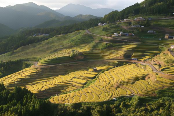 이루카 온센 호텔 세이류소(Iruka Onsen Hotel Seiryuusou)_2