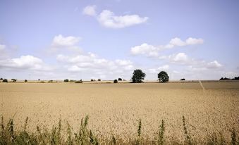 Crossroads Farm - Queen Anne's Stable