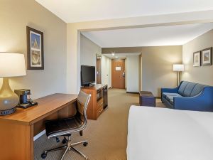 Comfort Inn & Suites Airport Convention Center