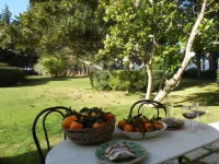 Masseria Case Damma