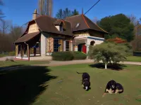 La Faisanderie Hotel di Le Subdray