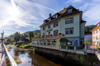 Dom-Hotel Hotels in Todtmoos