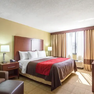 Comfort Inn Downtown Отели рядом с достопримечательностью «Станция метро "Тауэр-сити - Паблик-сквер"»