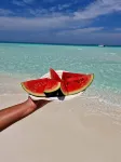 Finolhu Beach Guest House Hotels in Felidhoo
