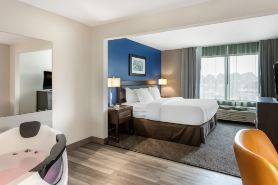 Comfort Inn & Suites Grand Blanc-Flint