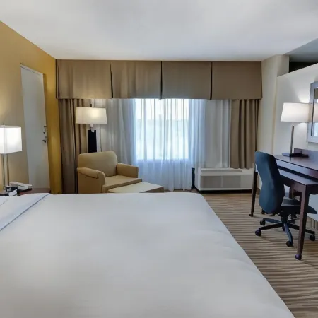 Holiday Inn ST. PETERSBURG N- CLEARWATER by IHG