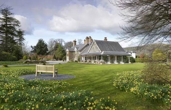 泰德茵餐廳與客房酒店