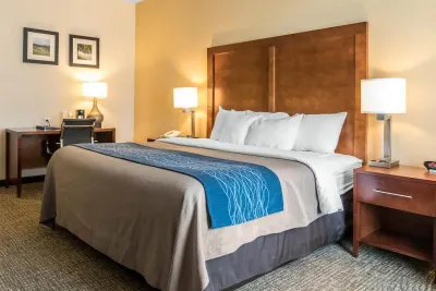 Comfort Inn Apalachin Binghamton W Route 17 Hotels in Nichols