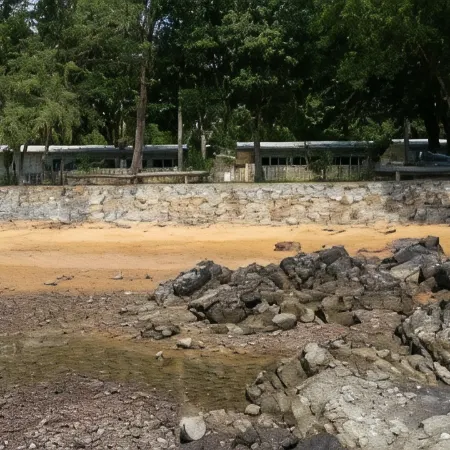 Baansukhita