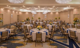 Holiday Inn ST. Louis - Downtown Conv Ctr