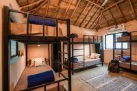 Zostel Hampi (Gangavathi) Hotels in Koppal