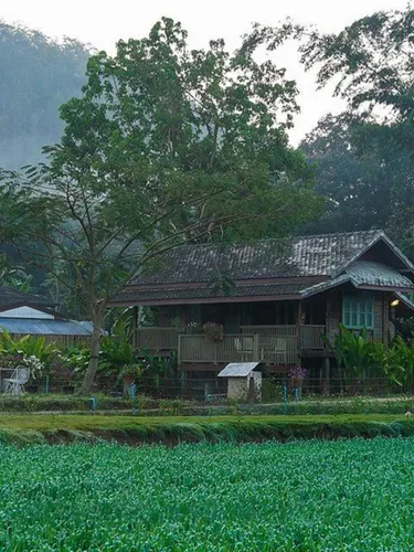 รูปภาพของหลองข้าวสะเมิง