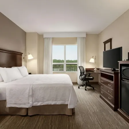 Hampton Inn & Suites Washington-Dulles International Airport