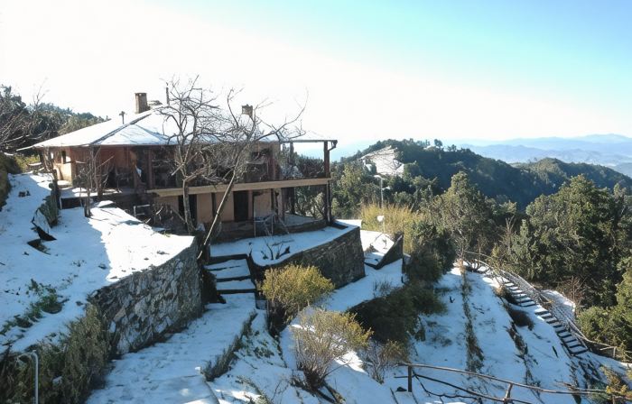 Binsar Forest Retreat
