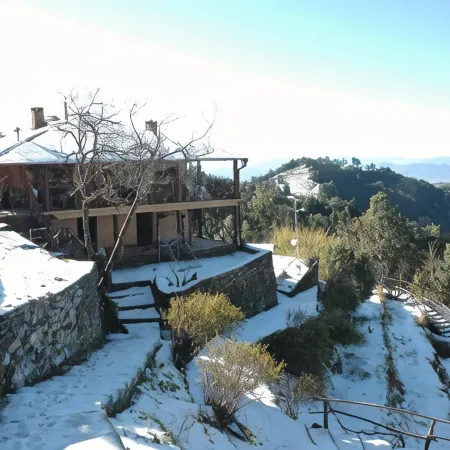 Binsar Forest Retreat