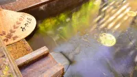 Miyamaso - Hot Springs