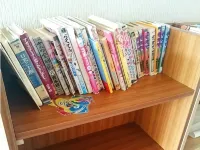 綠色鄉村 高橋 南魚沼市住宿飯店