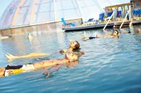 쿠호텔 피라미드 배드 윈즈헤임