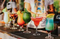 Dreamland Oasis Hotel - bars