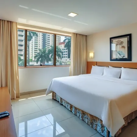 Castro's Park Hotel