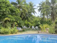 Island View Beachfront Resort - Pools