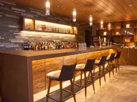 Hotel Ichibata - bar