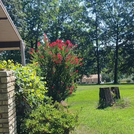 Ideal Ozark Getaway in Tranquil Horseshoe Bend