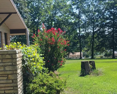 Ideal Ozark Getaway in Tranquil Horseshoe Bend Hotels in Izard County