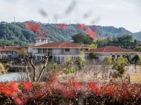 WUYI MOUNTAIN DAHONGPAO RESORT - romantici