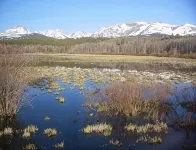 Cozy Cabin Minutes from Glacier's Two Medicine Valley