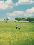 格桑花·Horizonview雲畔·全景美宿（豐寧壩上草原大灘鎮店） - 健身房