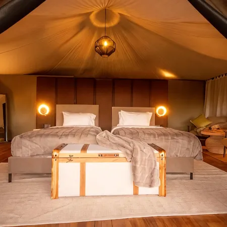Twende Africa Tours